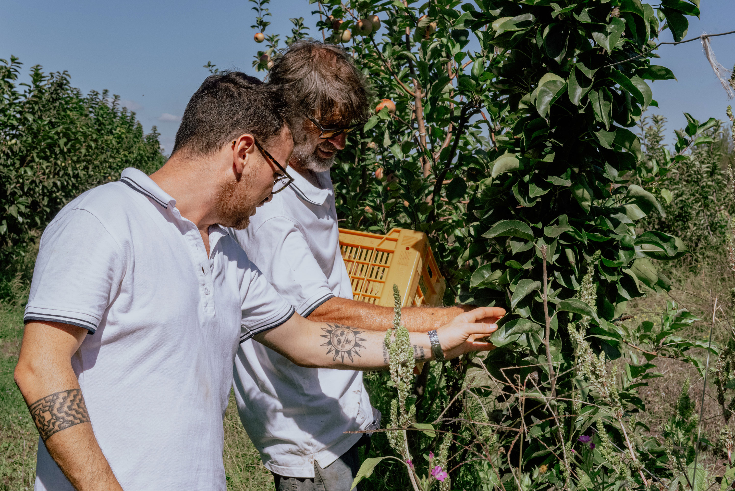 Agricola-Salvatori-Sei-un-commerciante_01